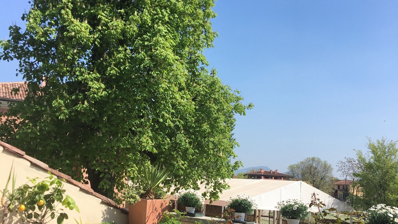Photo of Patio Balcony in Sossano