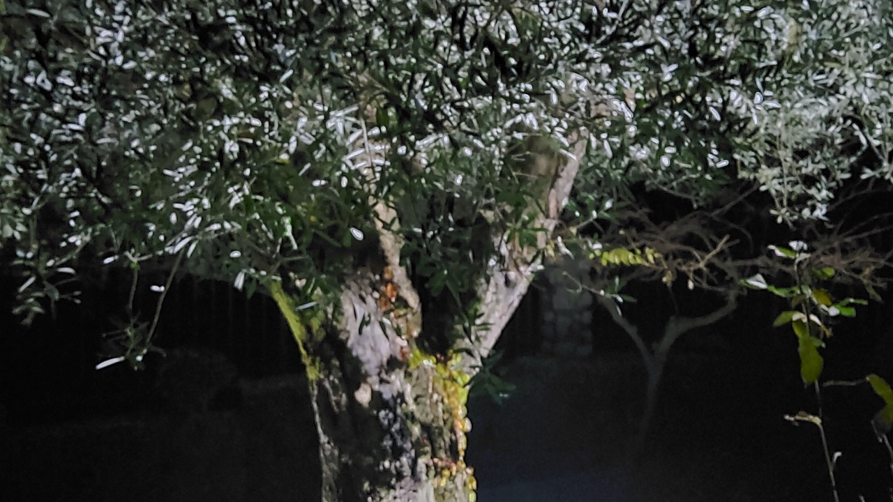 Photo of Outdoor in Faicchio