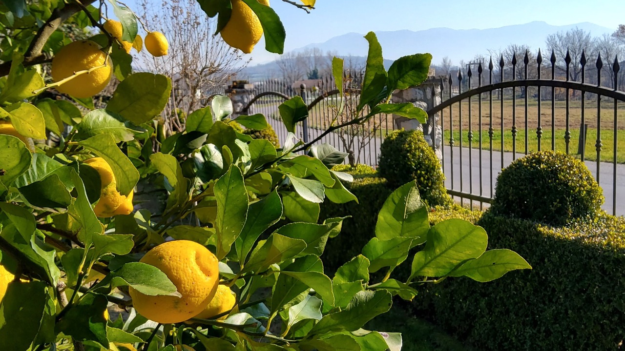Photo of Outdoor in Faicchio