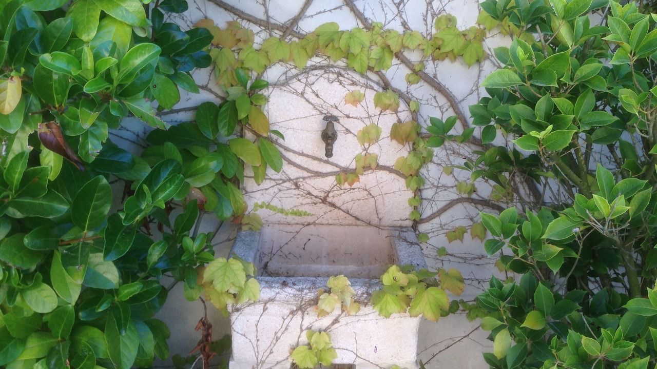 Photo of Outdoor in Spoltore