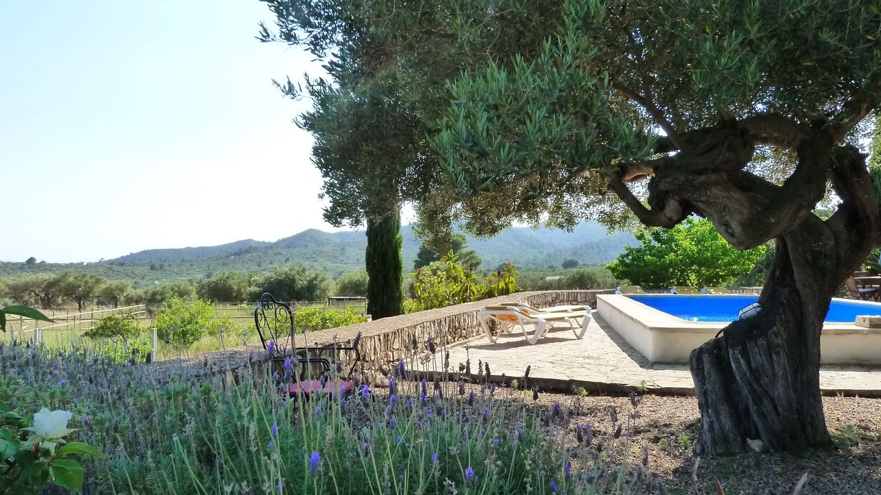 Photo of Outdoor in Tortosa
