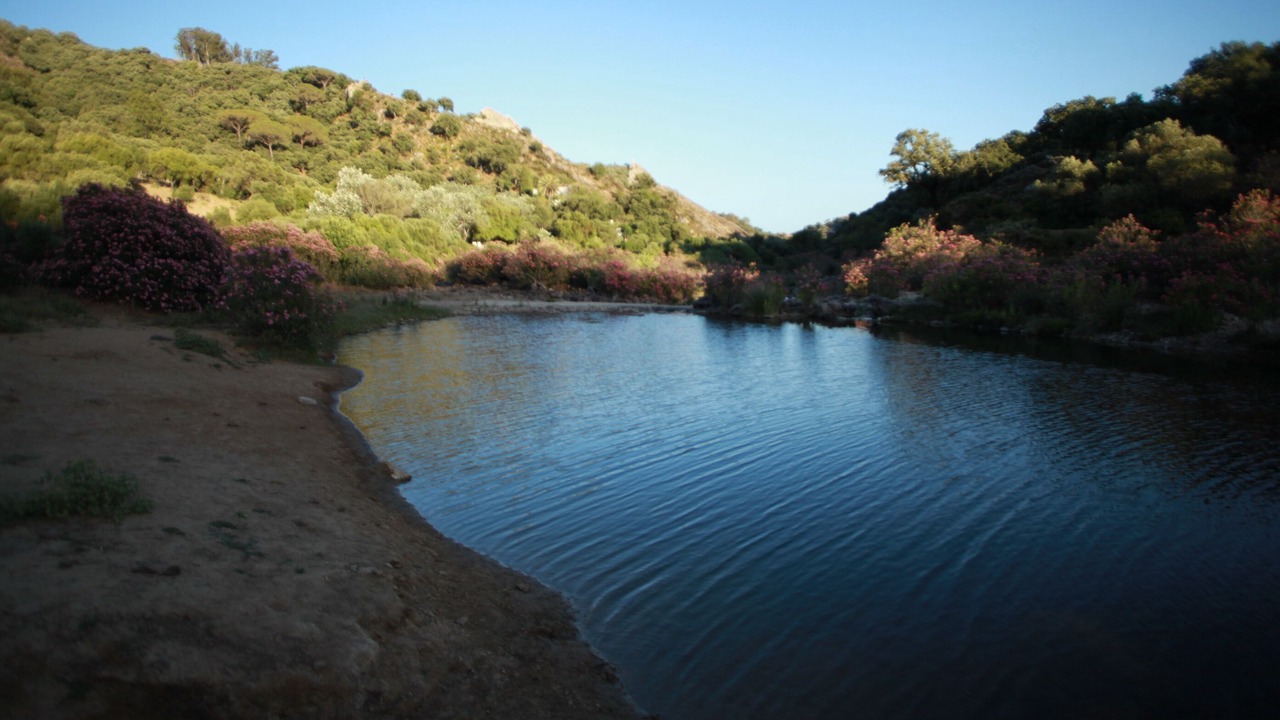 Photo of Others in Jimena de la Frontera