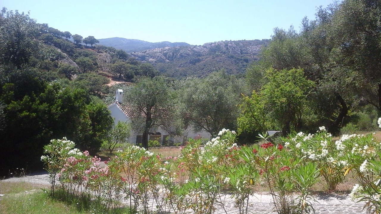 Photo of Others in Jimena de la Frontera