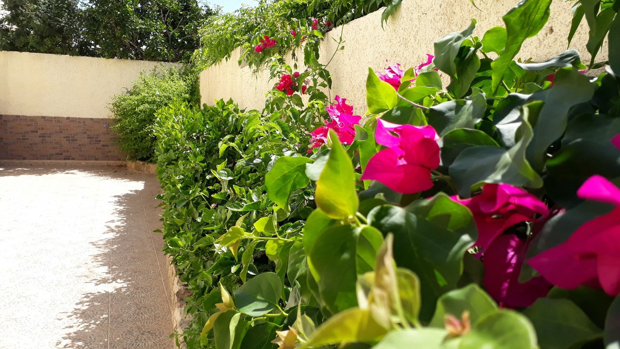 Photo of Outdoor in Puerto Marino