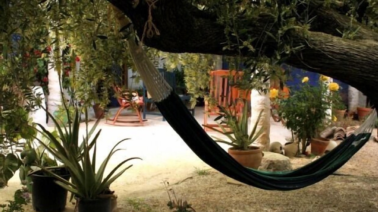 Photo of Outdoor in Huercal-Overa