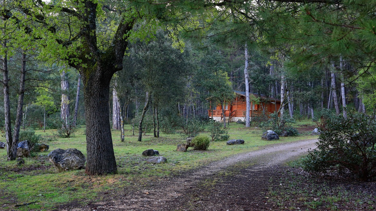 Photo of Outdoor in Canamares