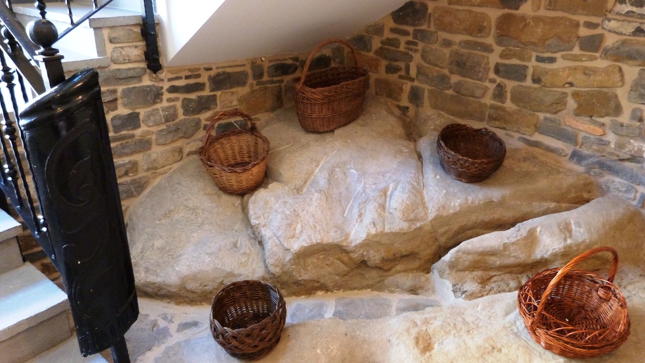Photo of Others in Boltana