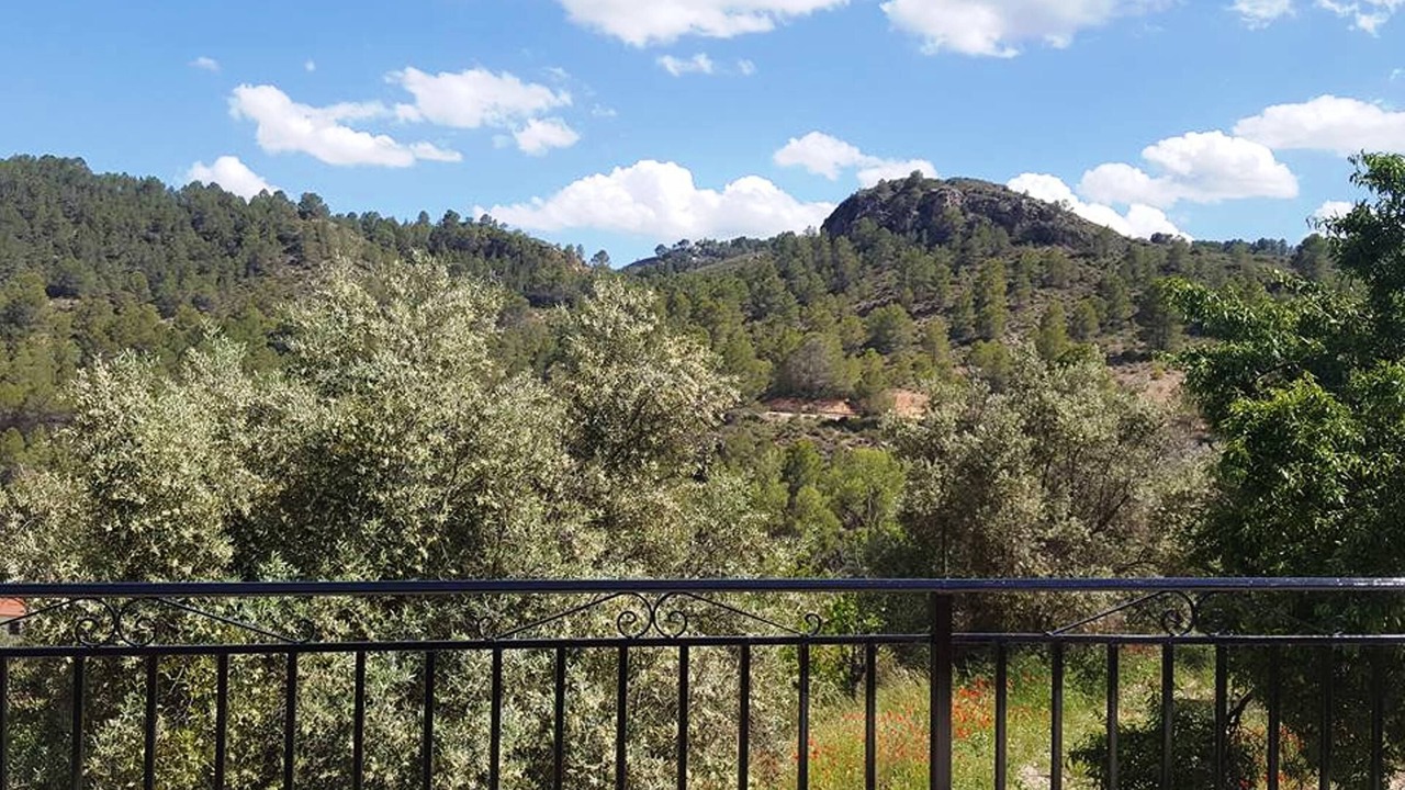 Photo of Outdoor in Elche De La Sierra