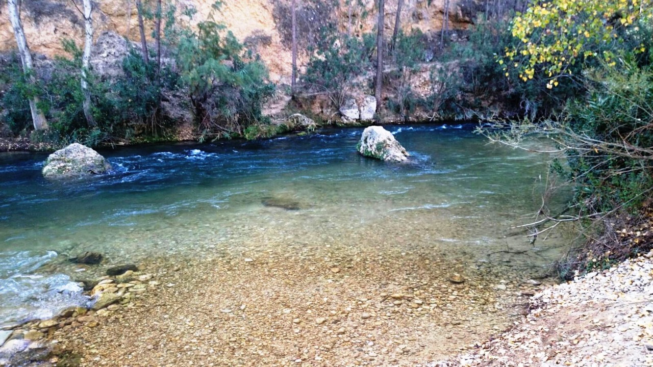 Photo of Others in Elche De La Sierra