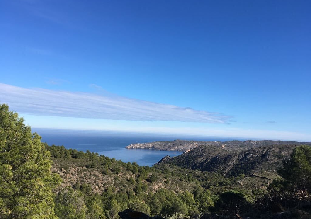 Photo of Others in Port de la Selva