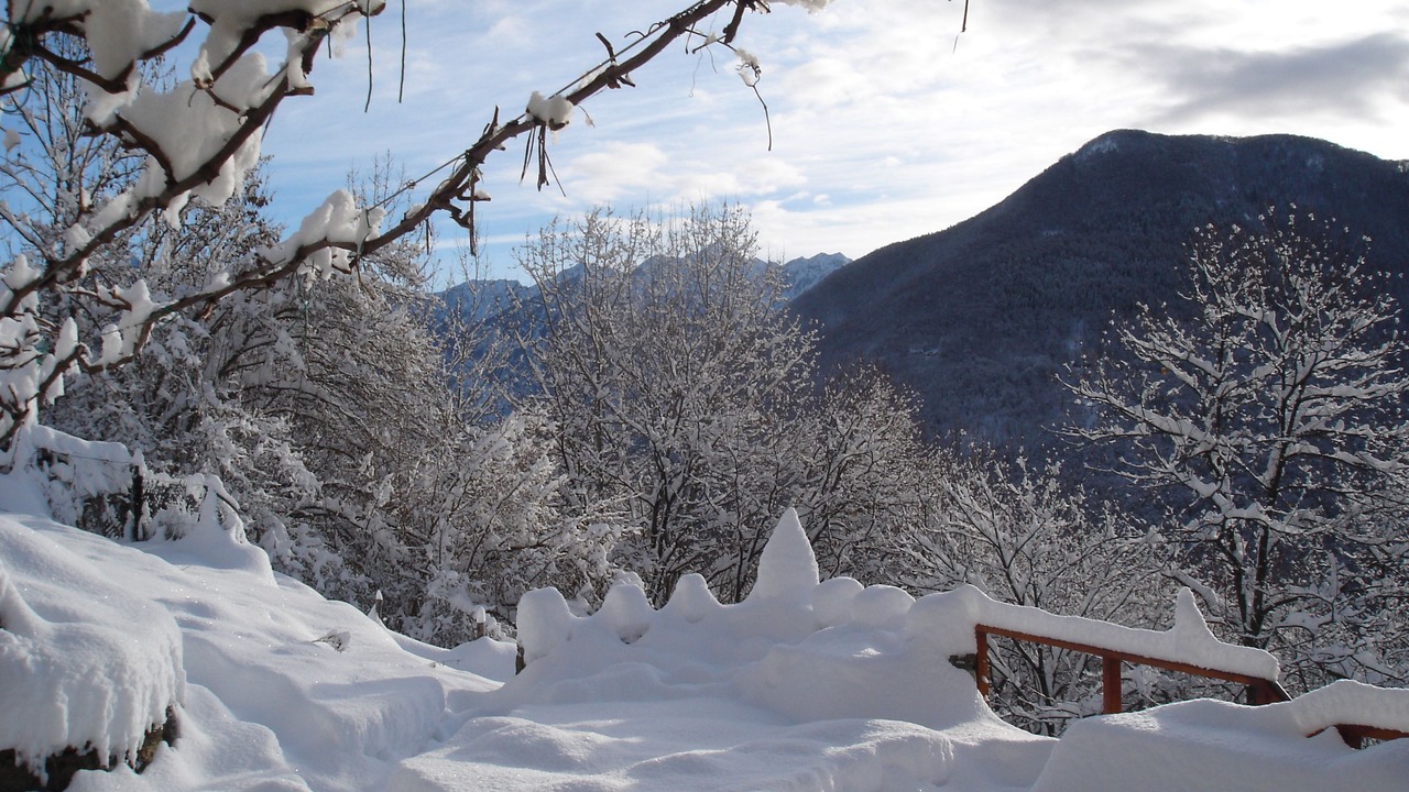 Photo of Outdoor in Valleggia