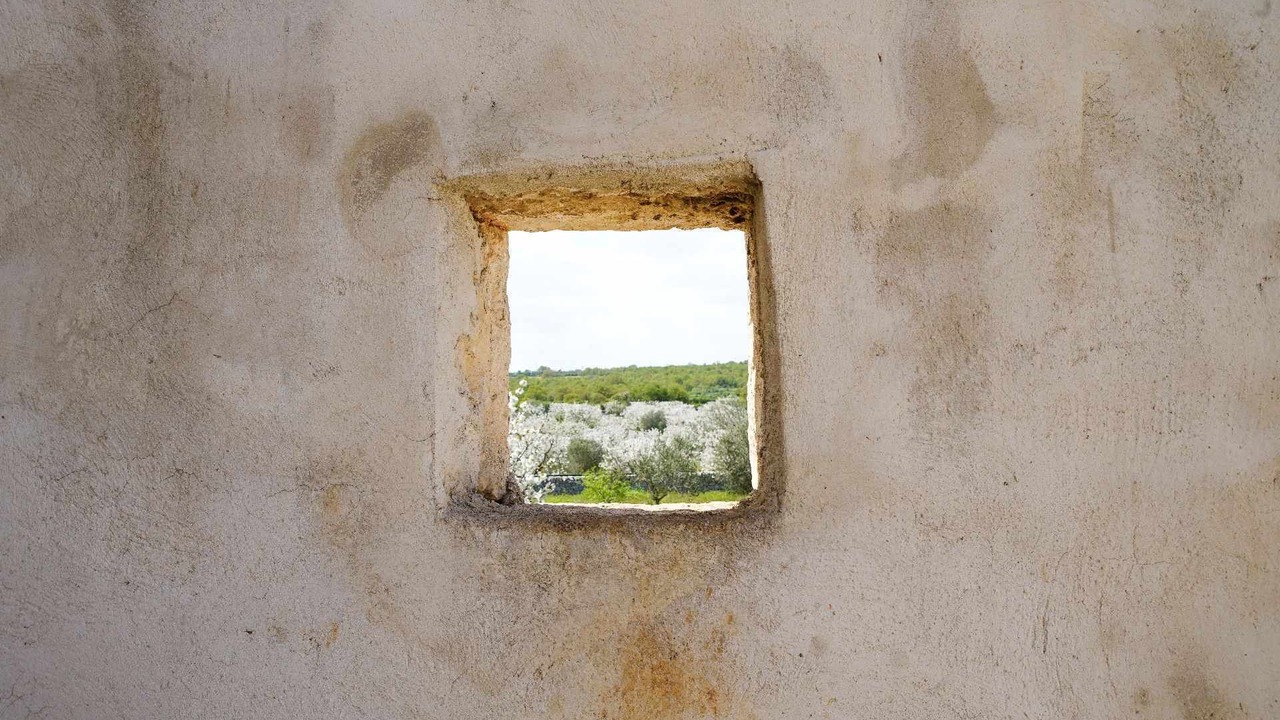 Photo of Outdoor in Impalata
