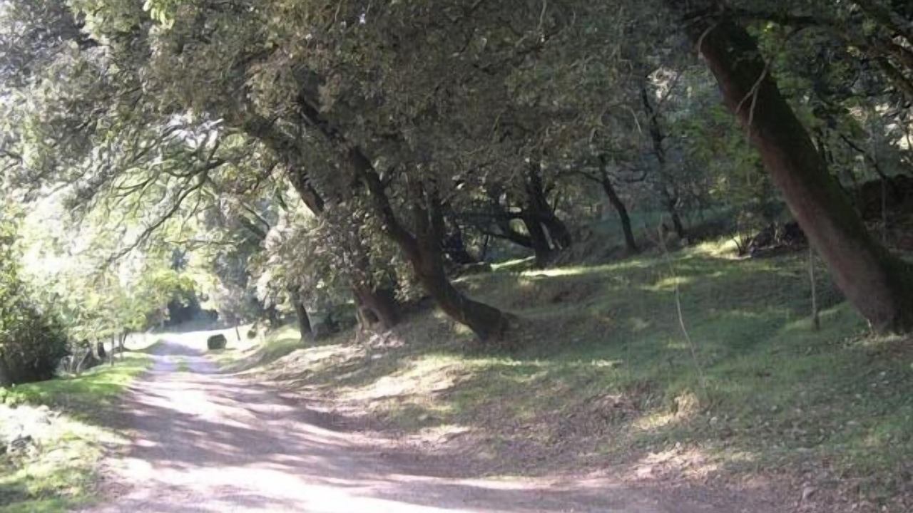 Photo of Outdoor in Sant Joan les Fonts