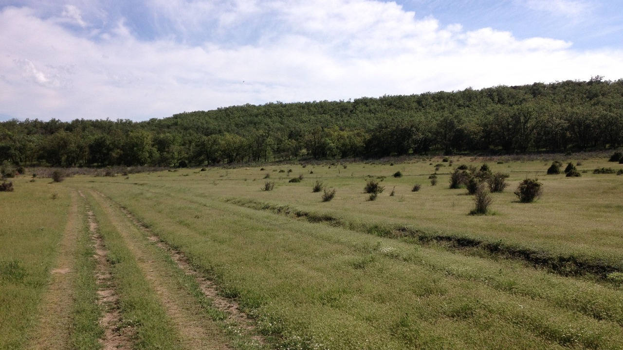 Photo of Outdoor in Carabias