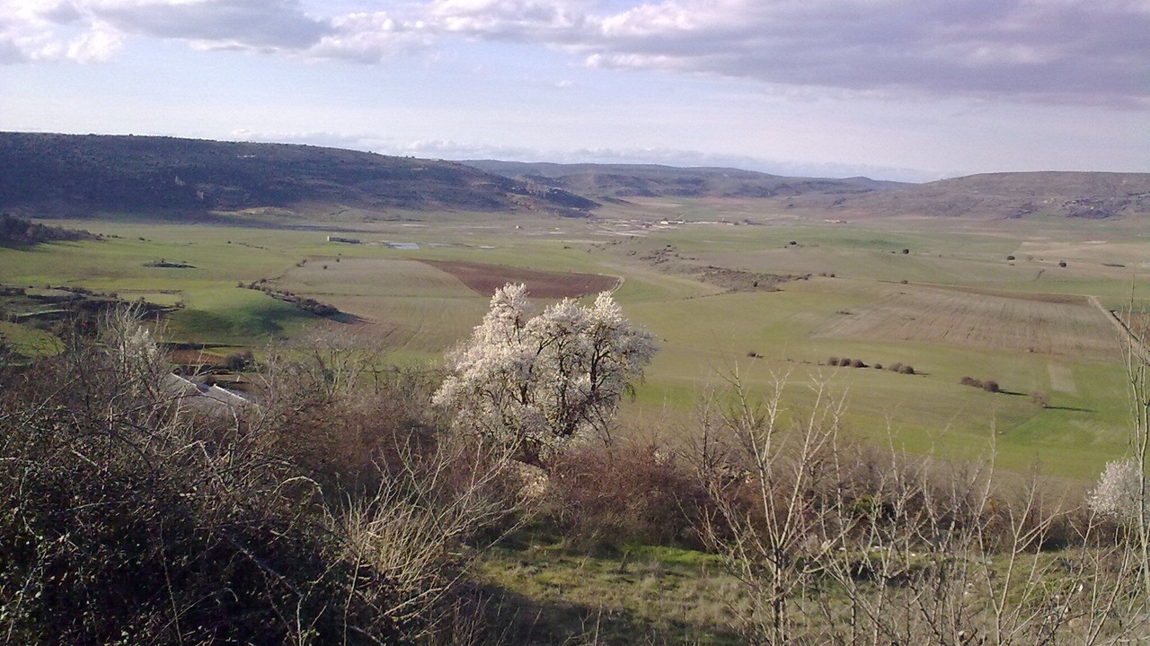 Photo of Outdoor in Carabias