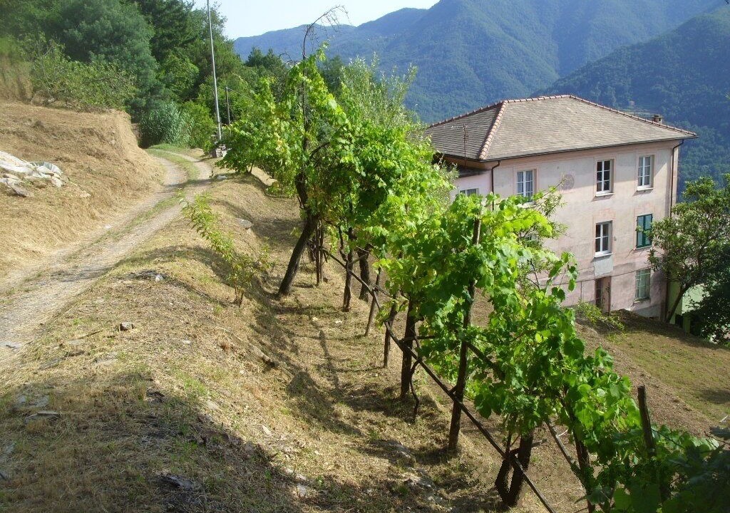 Photo of Outdoor in San Colombano Certenoli