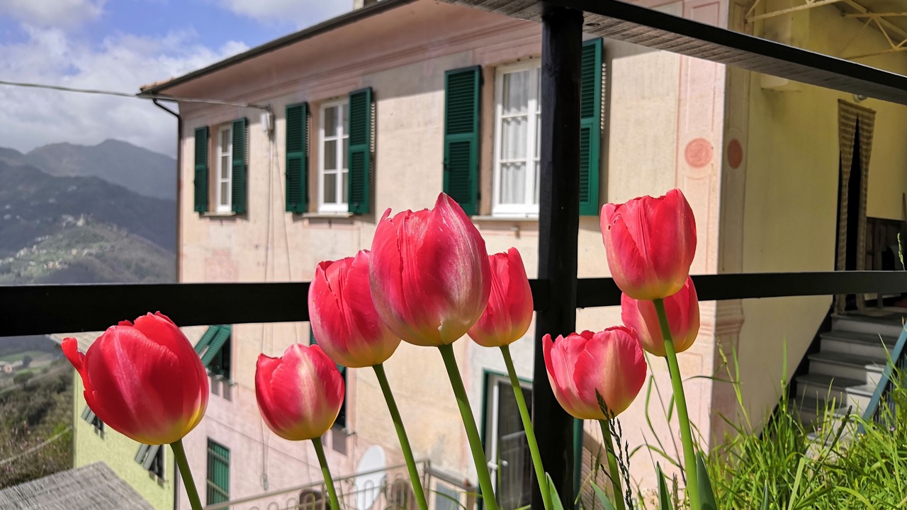 Photo of Outdoor in San Colombano Certenoli