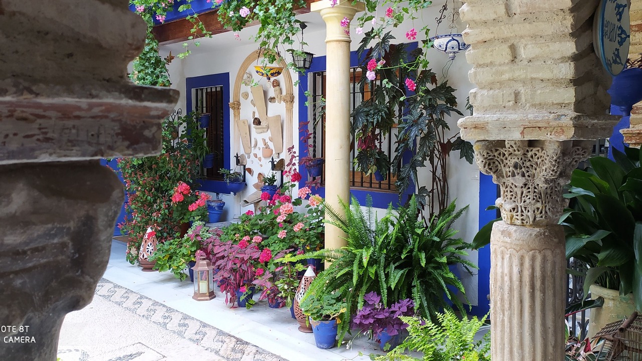Photo of Outdoor in San Pedro