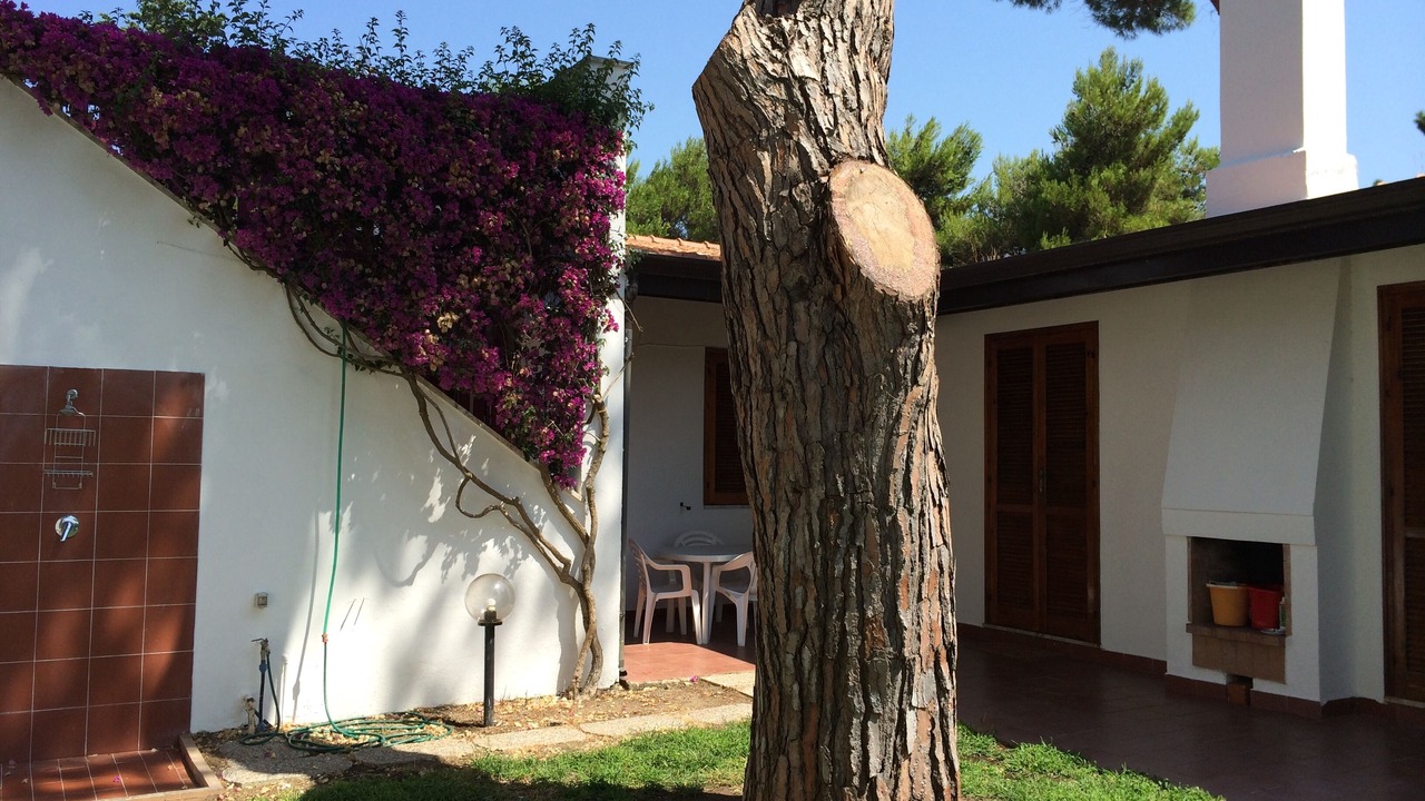 Photo of Outdoor in Laura