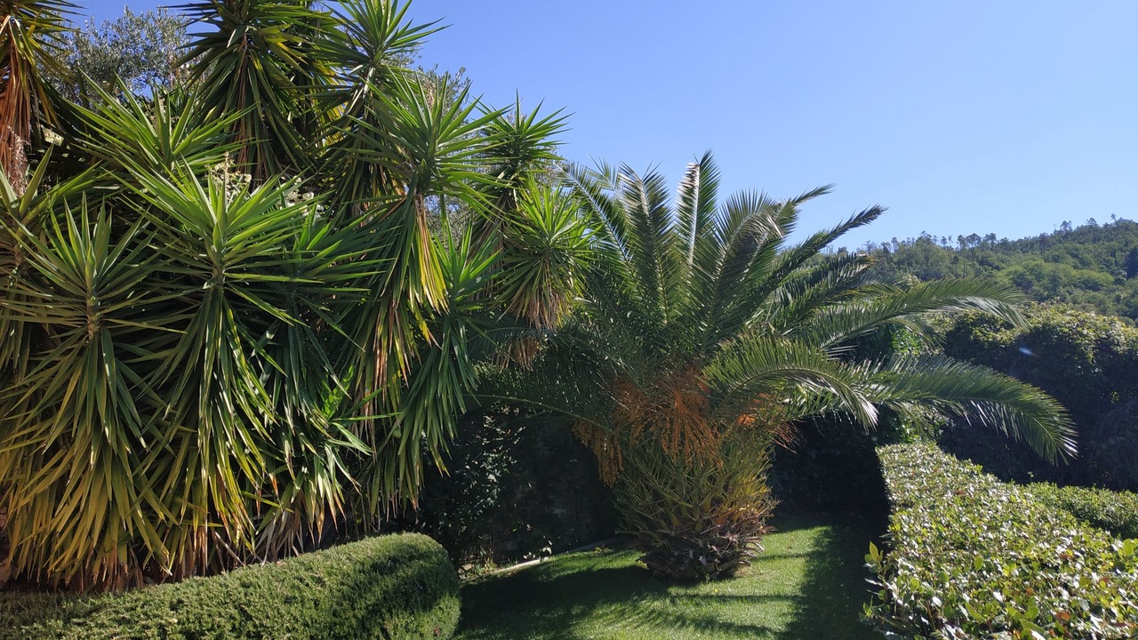 Photo of Outdoor in Lavagna