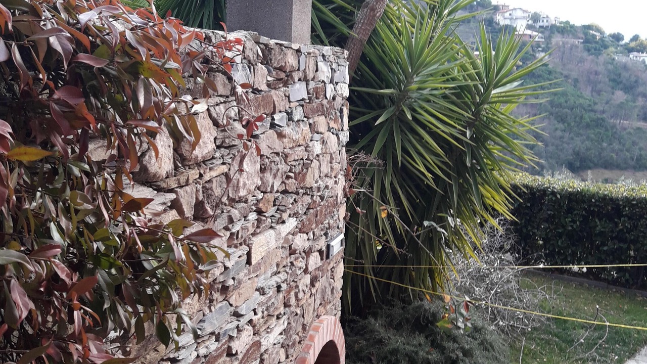 Photo of Outdoor in Lavagna