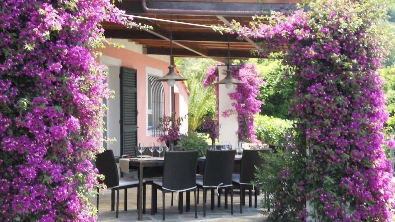 Photo of Outdoor in Lavagna