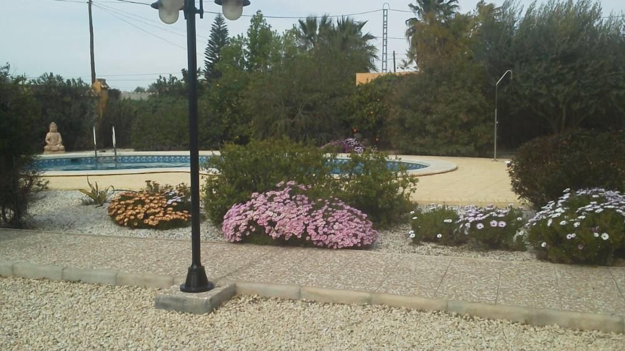 Photo of Outdoor in Catral