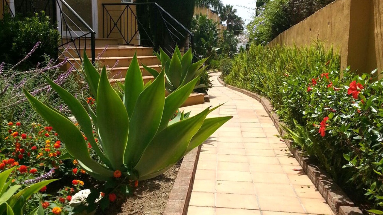 Photo of Outdoor in New Golden Mile