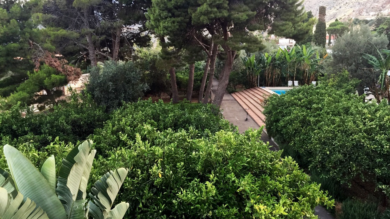Photo of Outdoor in Partanna