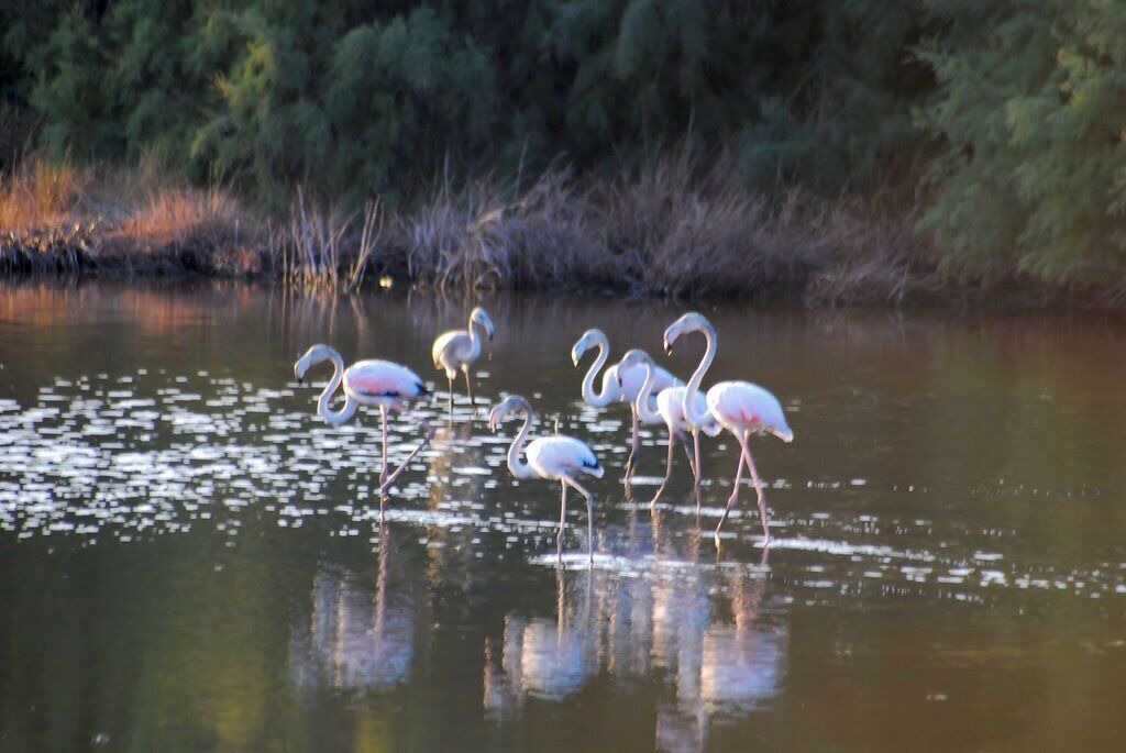 Photo of Outdoor in Baia Sant'Anna