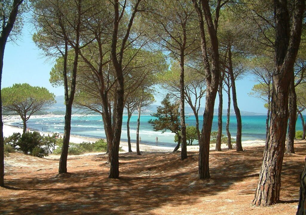 Photo of Others in Baia Sant'Anna