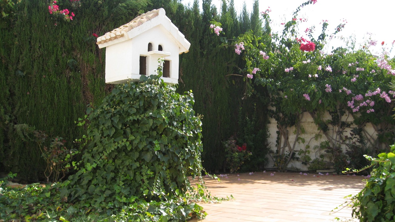 Photo of Outdoor in Los Puertos