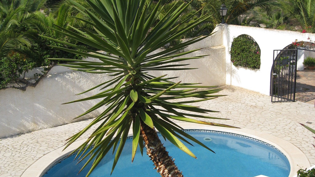 Photo of Outdoor in Los Puertos