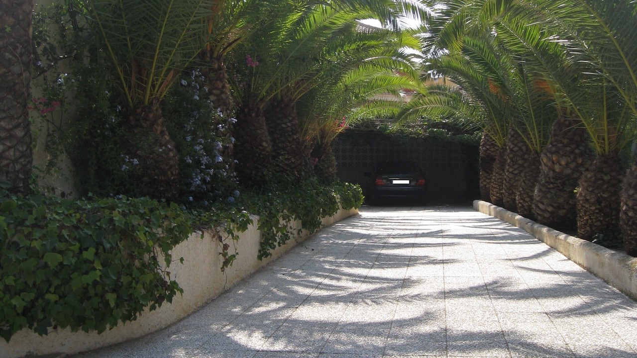 Photo of Outdoor in Los Puertos