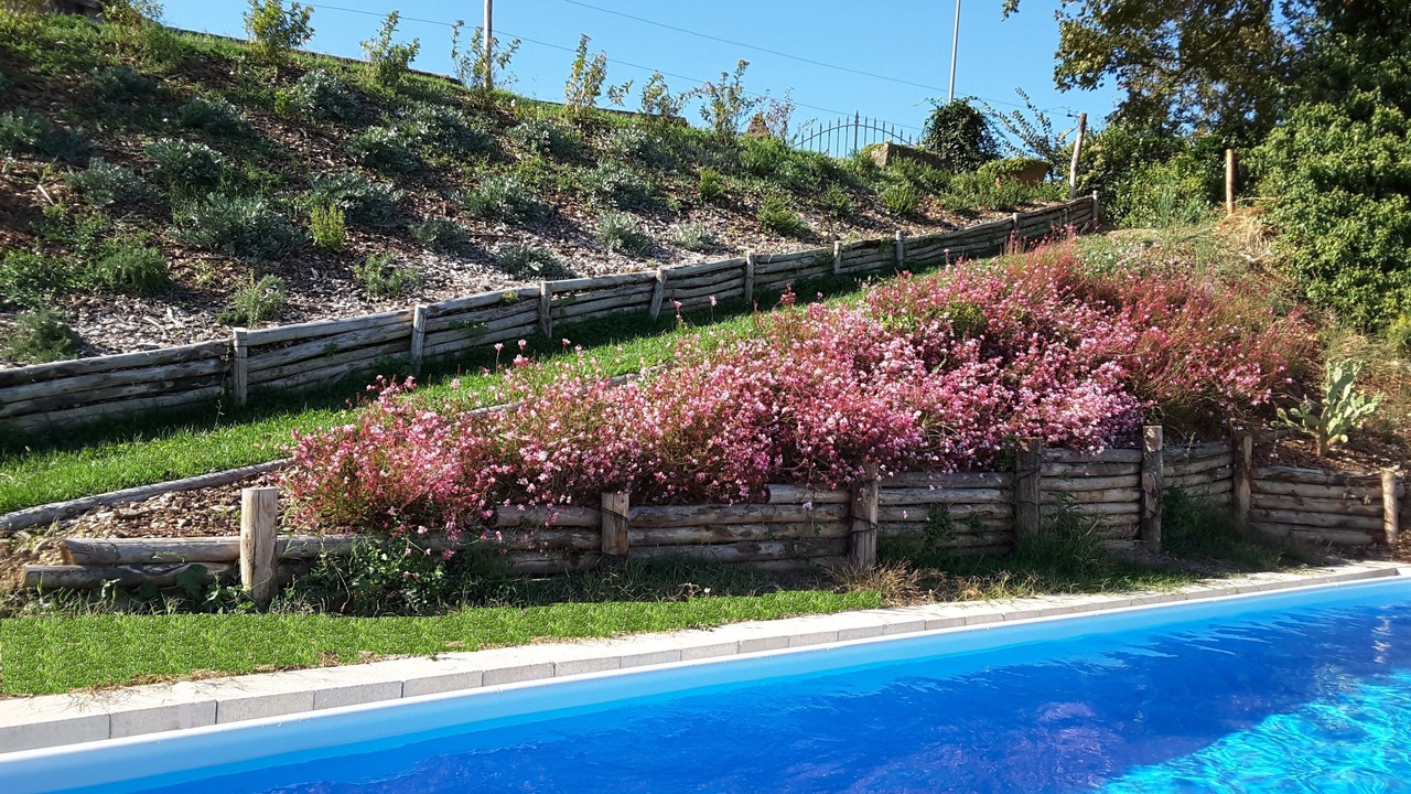 Photo of Outdoor in Chiusdino