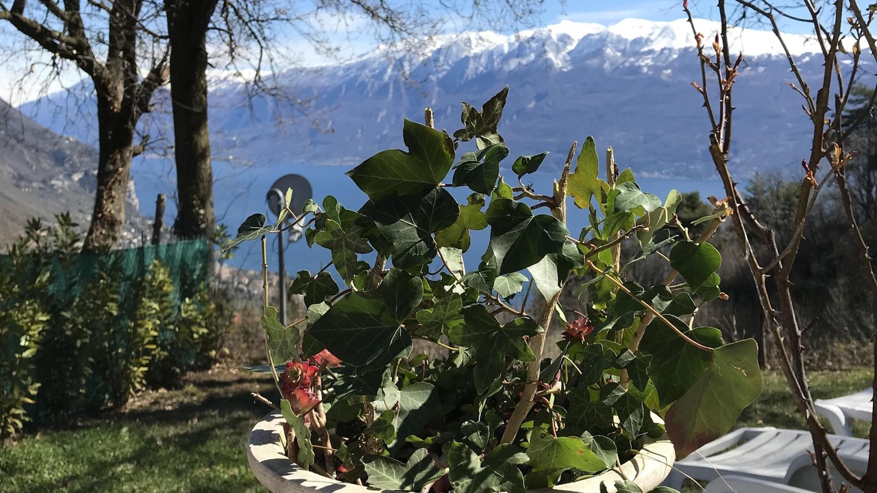 Photo of Outdoor in Toscolano Maderno