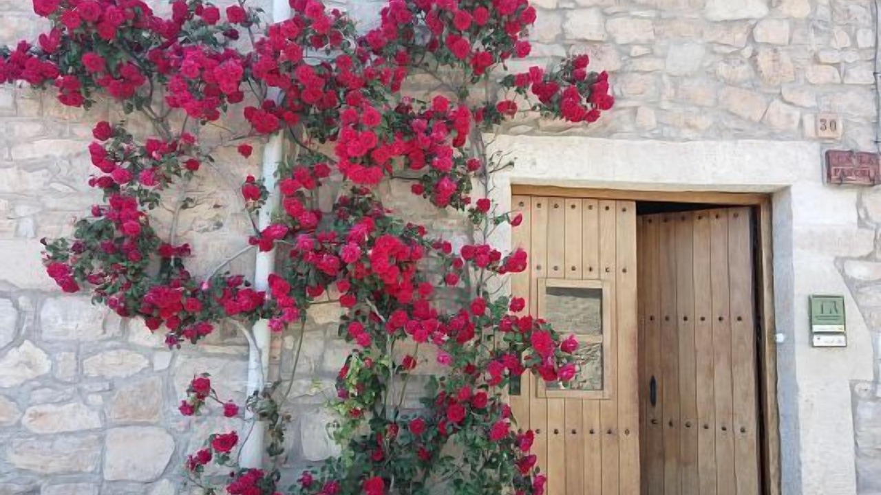 Photo of Outdoor in Guimera