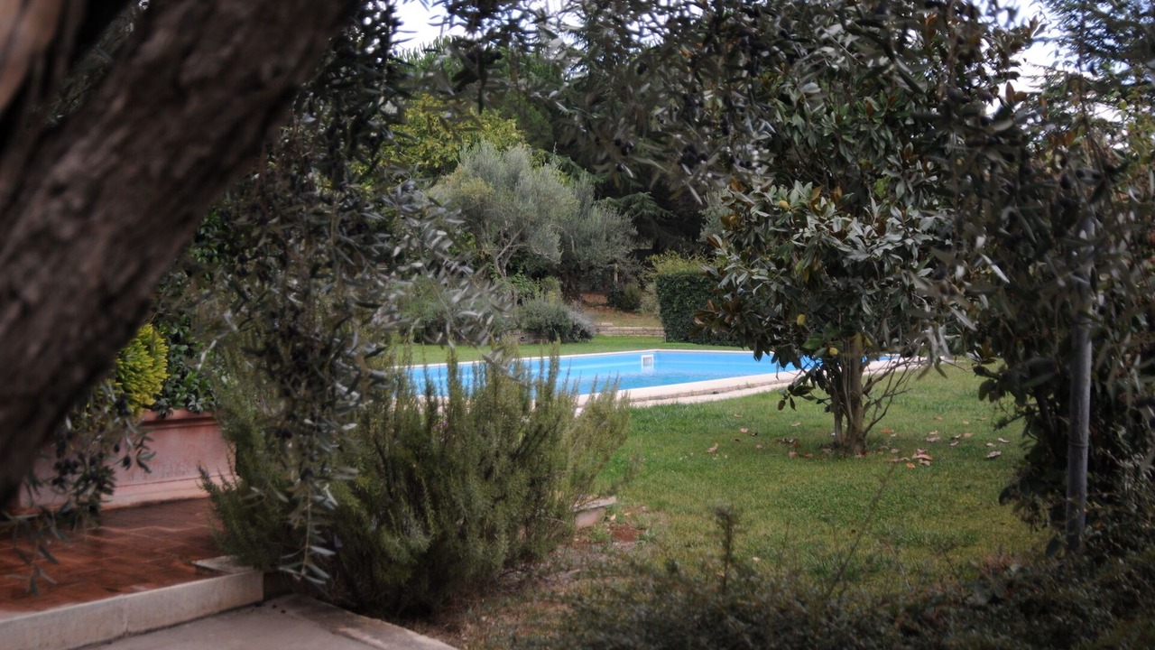Photo of Outdoor in Gallicano nel Lazio