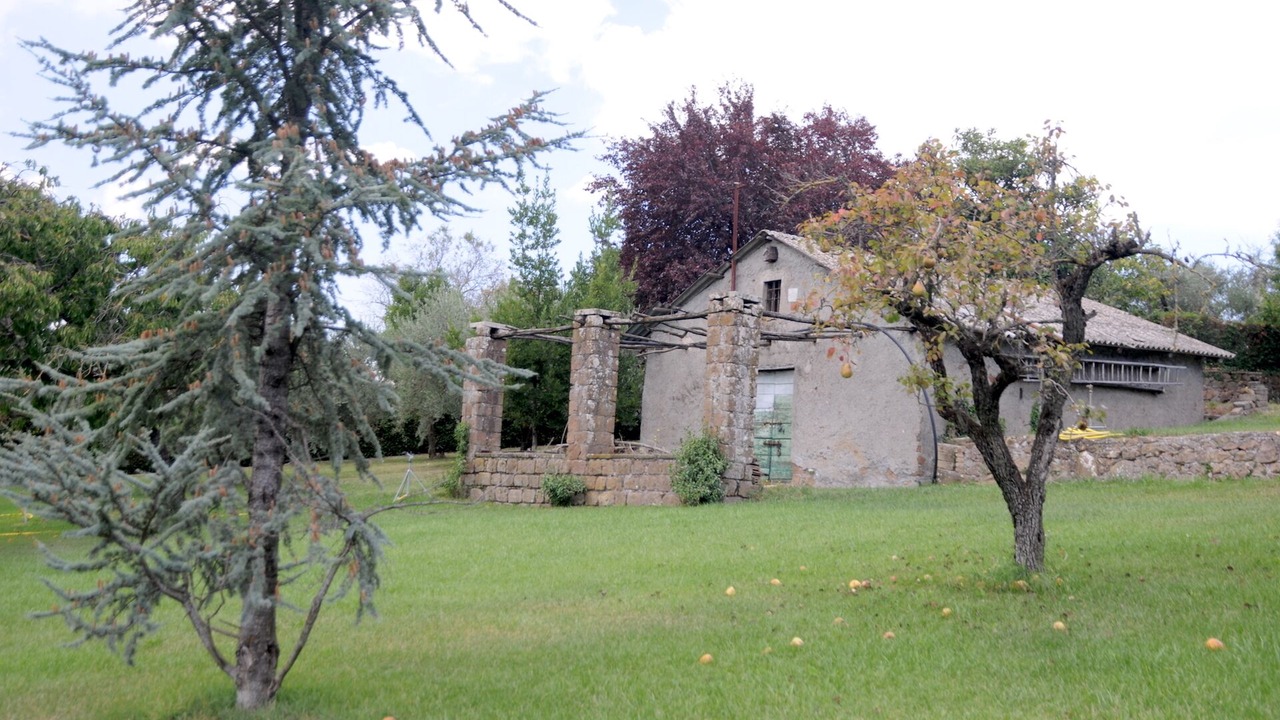 Photo of Outdoor in Gallicano nel Lazio