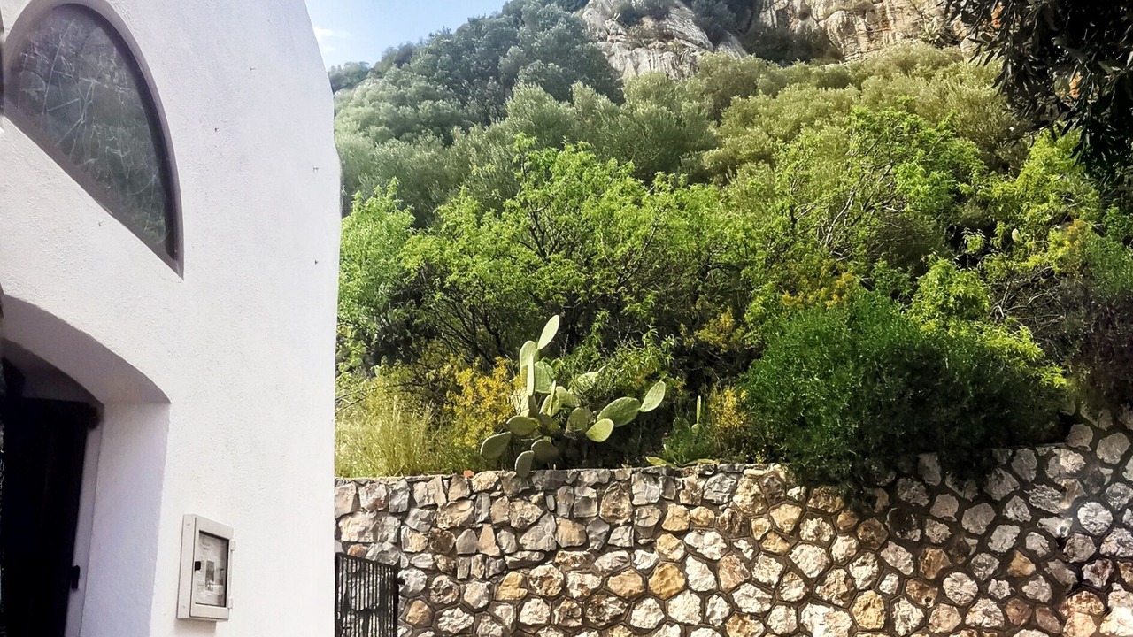 Photo of Outdoor in Siniscola