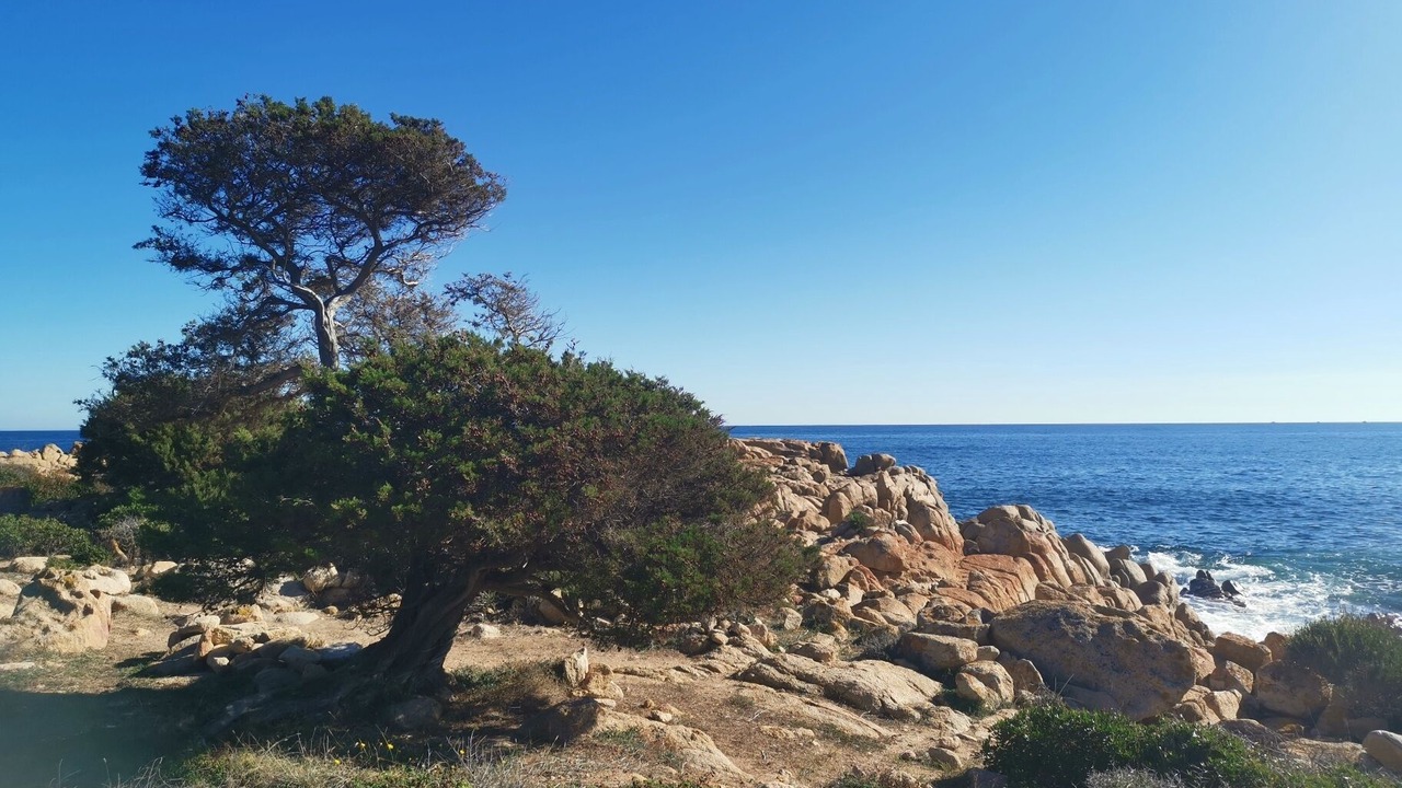 Photo of Others in Siniscola