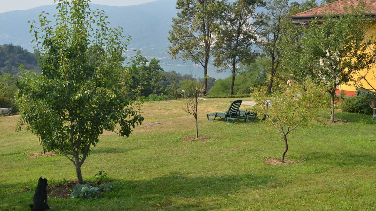 Photo of Outdoor in Comero
