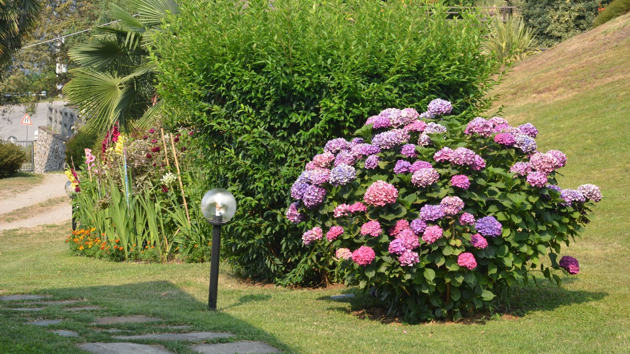 Photo of Outdoor in Comero
