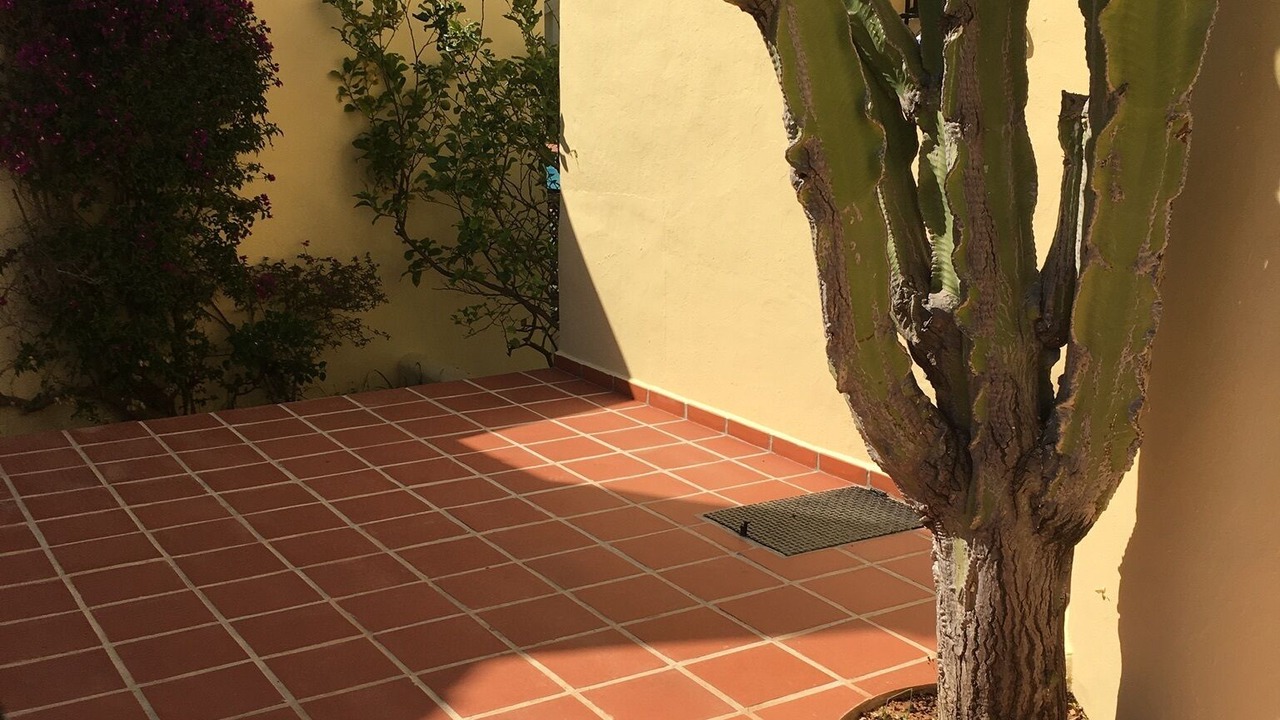 Photo of Outdoor in Diputacion de Rincon de San Gines