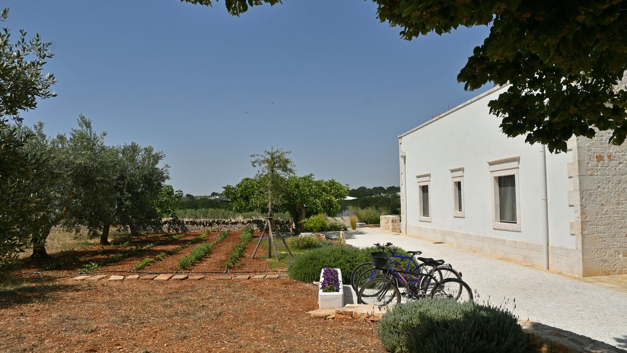 Photo of Outdoor in Cisternino