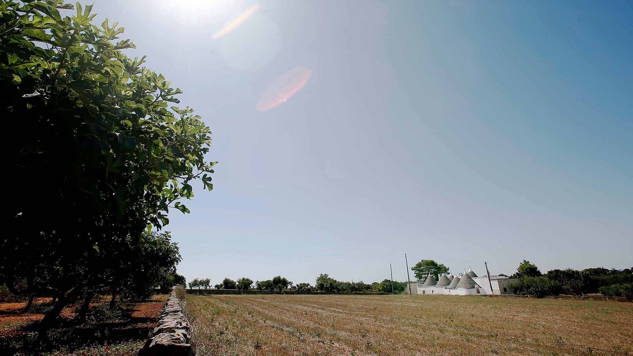 Photo of Outdoor in Cisternino