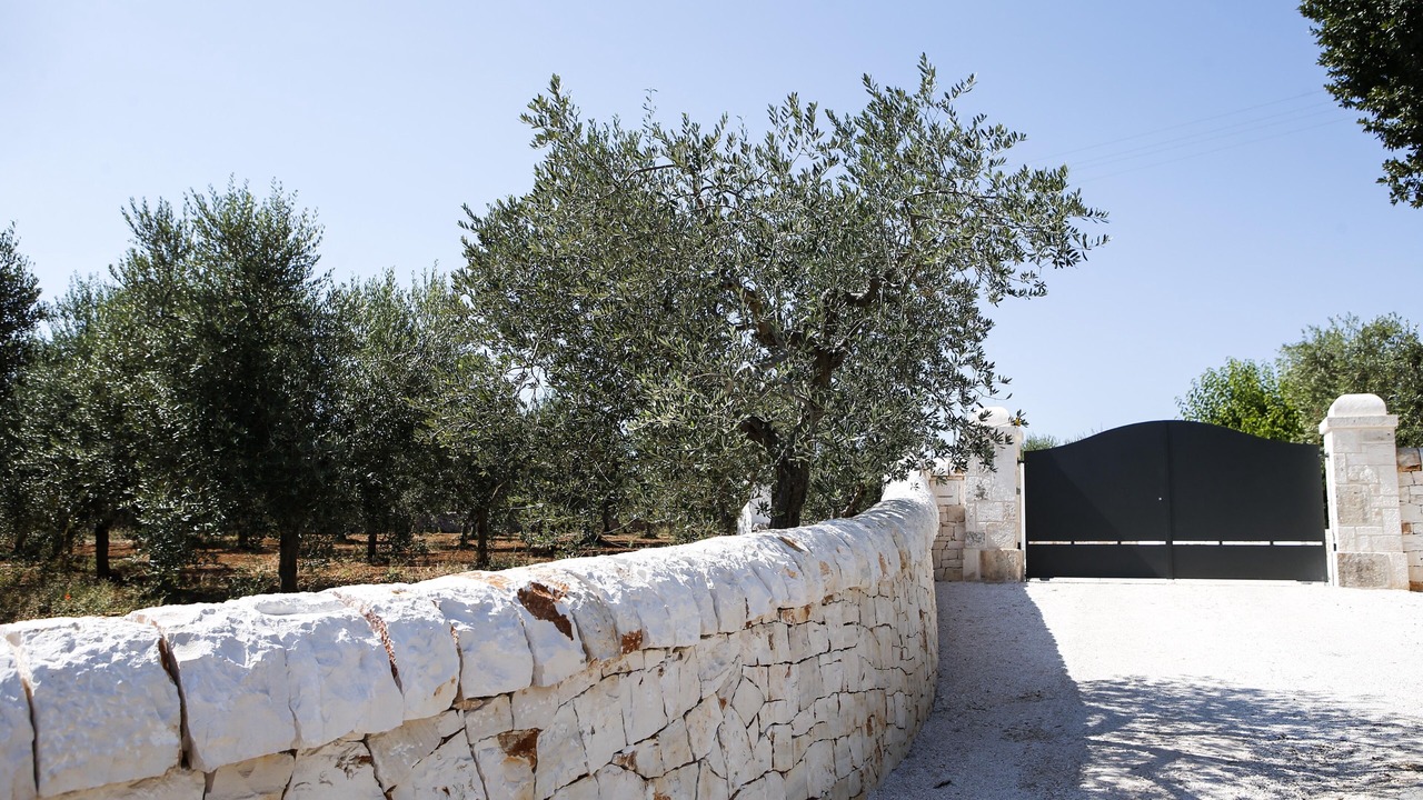 Photo of Outdoor in Cisternino