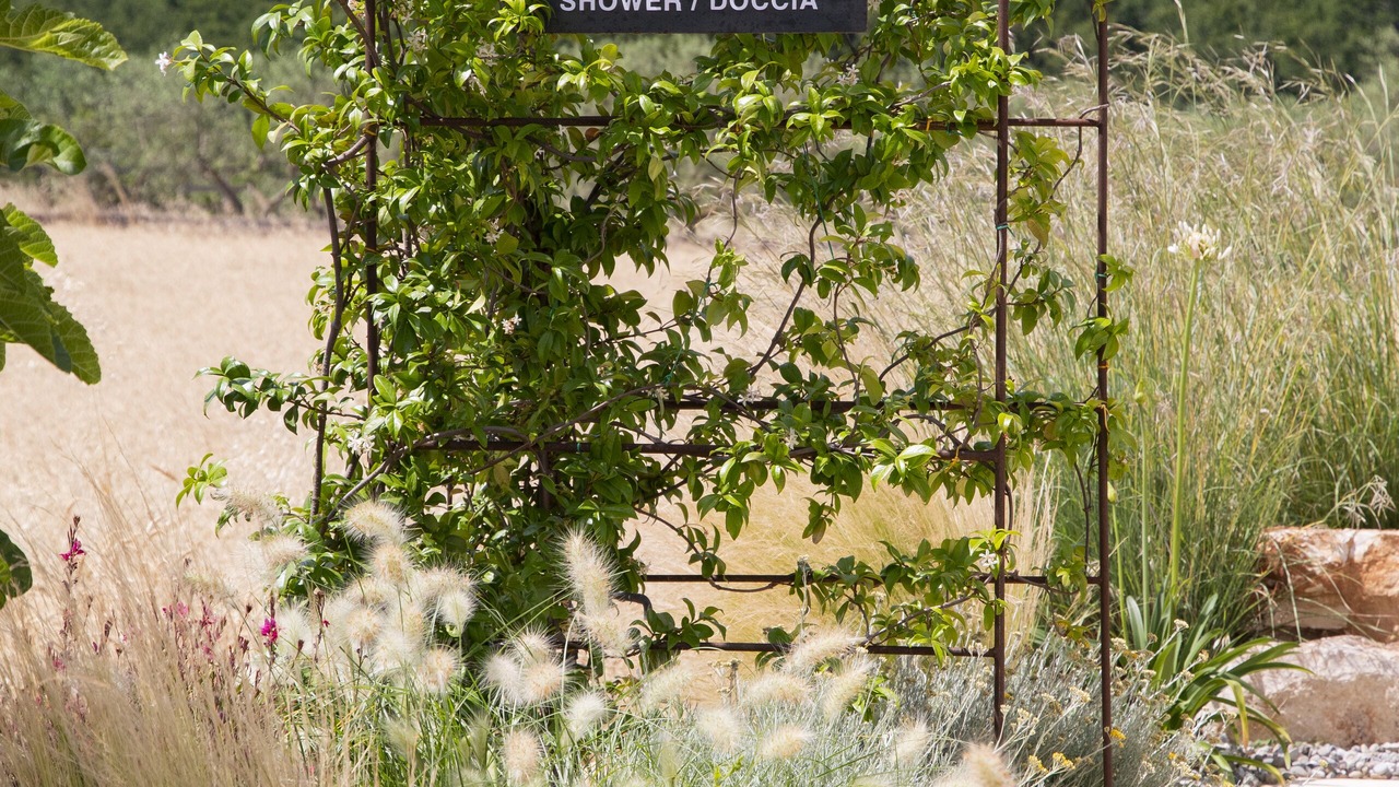 Photo of Outdoor in Cisternino