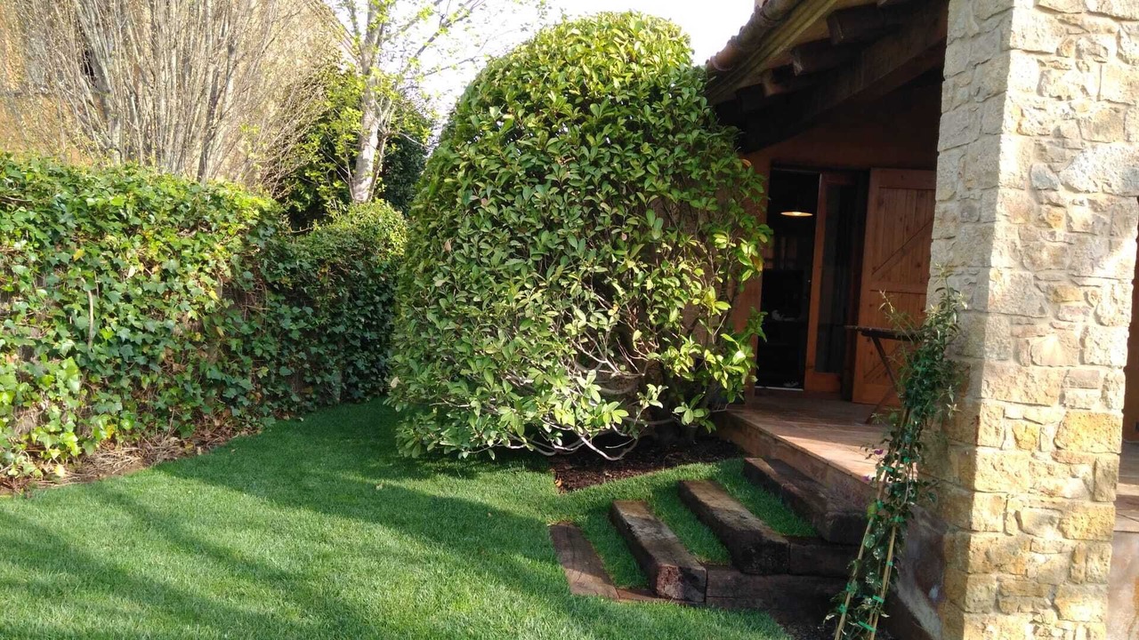 Photo of Outdoor in Monells