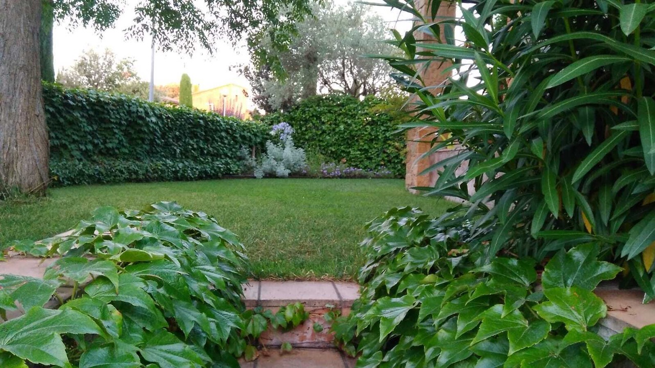 Photo of Outdoor in Monells
